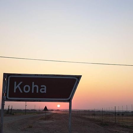 Koha Guesthouse Mariental Exteriör bild