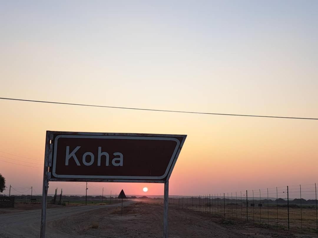 Koha Guesthouse Mariental Exteriör bild