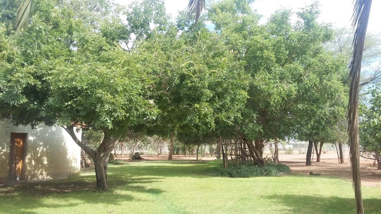 Koha Guesthouse Mariental Exteriör bild